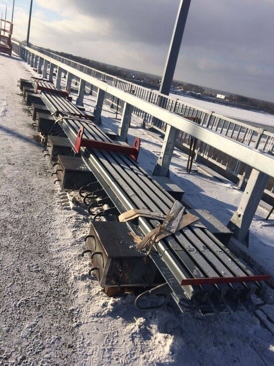     Фото: мэрия Томска