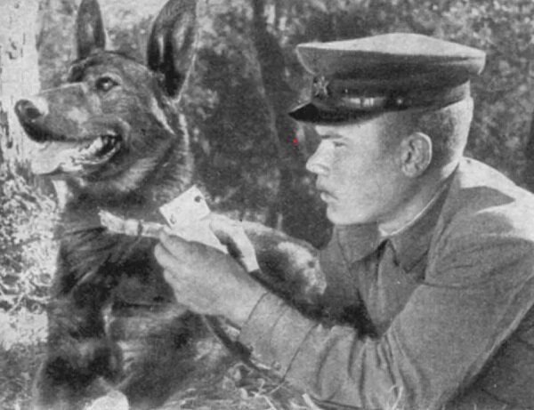 Отправка донесения с границы