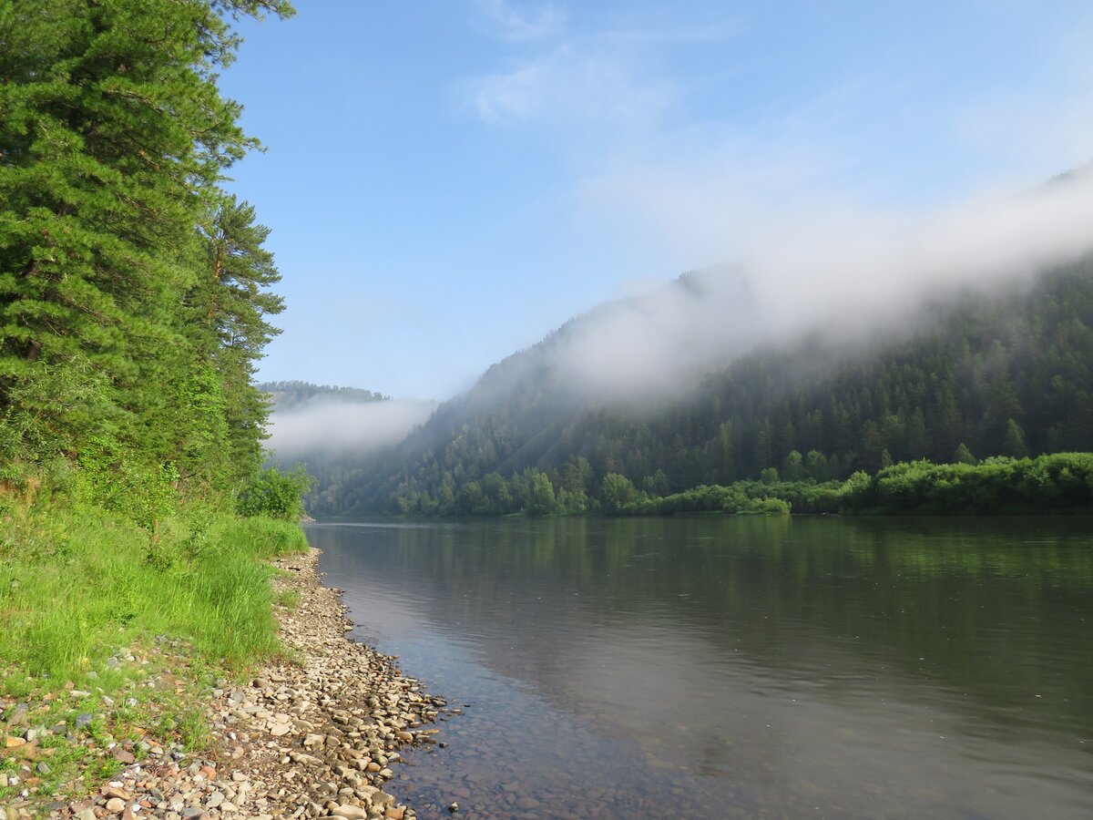 Утренний туман