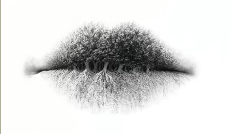 Добавьте описание