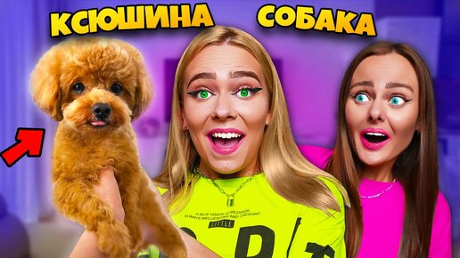 Descargar video: МЫ КУПИЛИ СЕСТРЕ СОБАКУ на 5 000 000 !