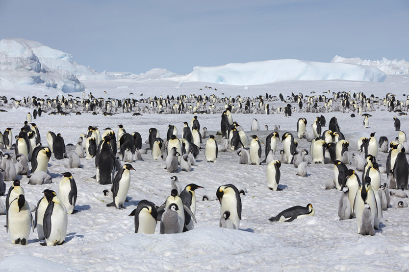 Фото: Wolfgang Jakel / imageBROKER / Globallookpress