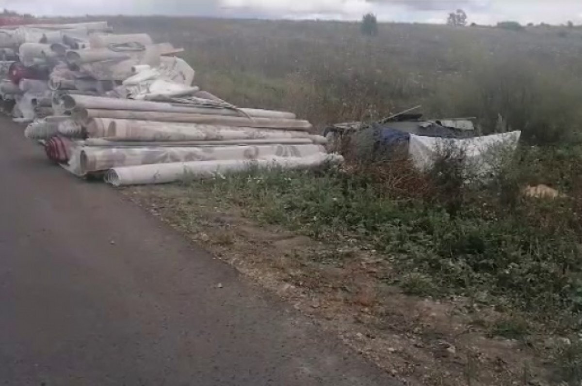    «Газель» опрокинулась в Нижегородской области из-за заснувшего водителя