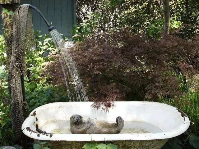 Примерно такая была ванночка. Животное не мое - фото из Сети