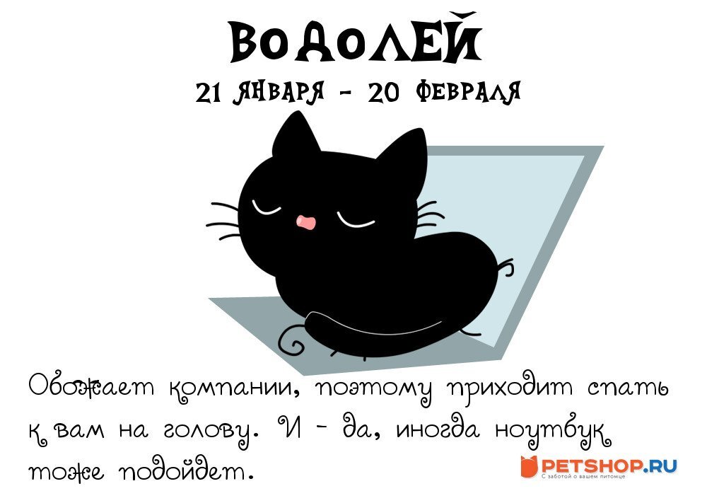 Коты знаки зодиака картинки