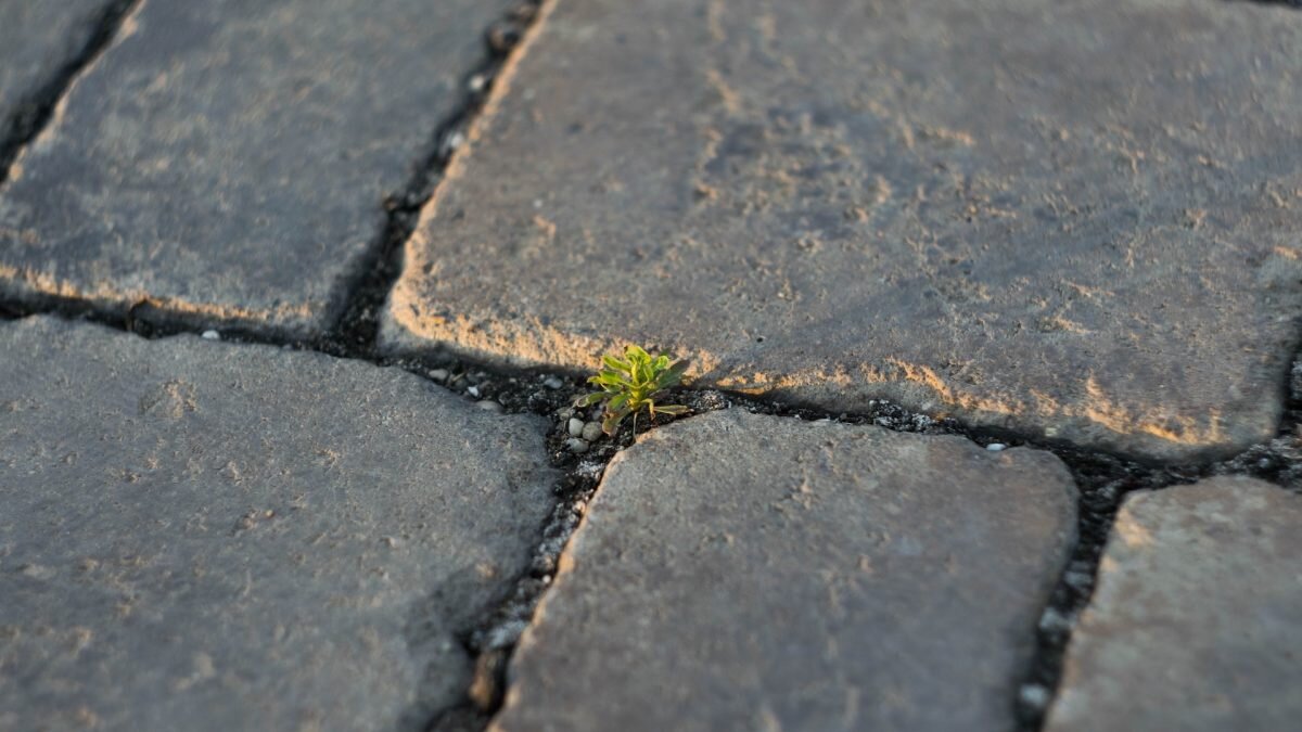    Фото: Imre Tömösvári / Unsplash Август Макаров