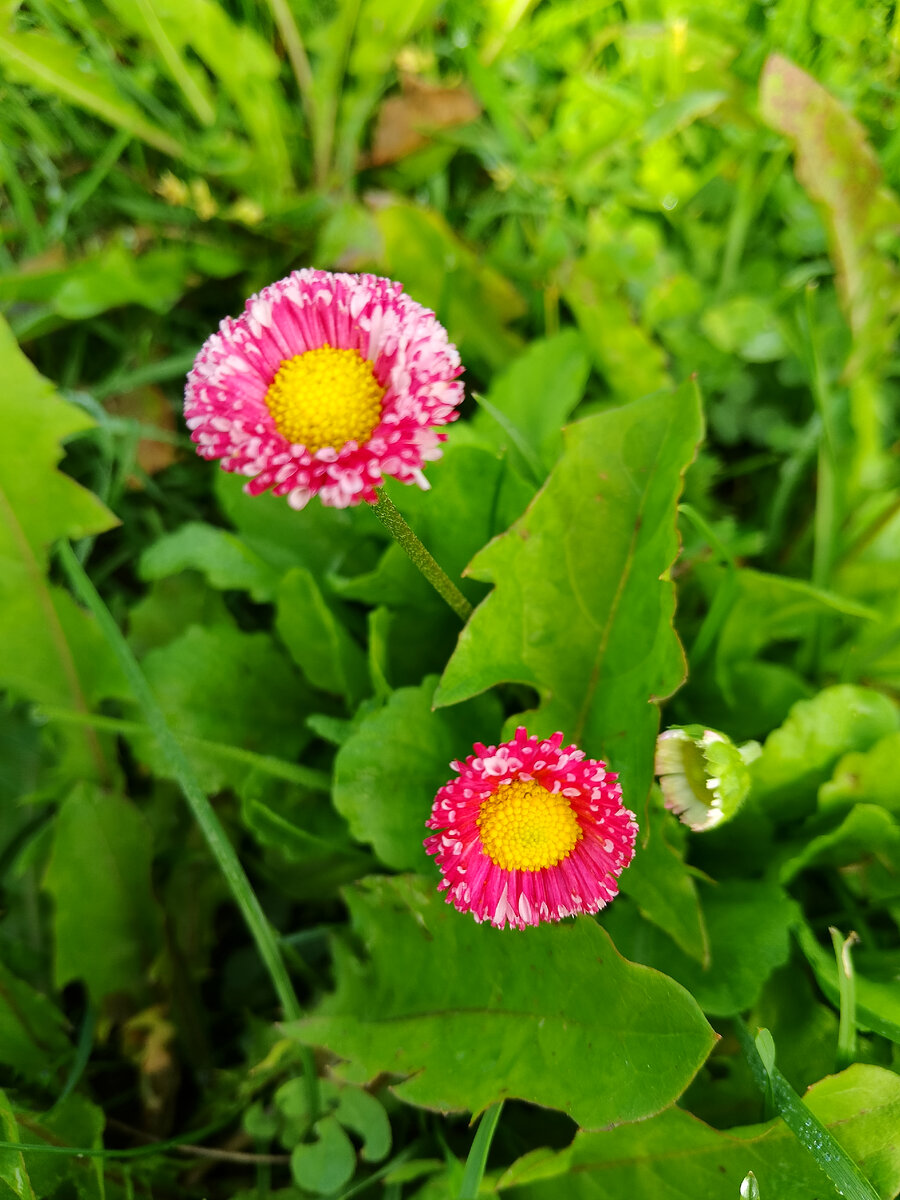 Фото сделано 1 сентября 2023 года