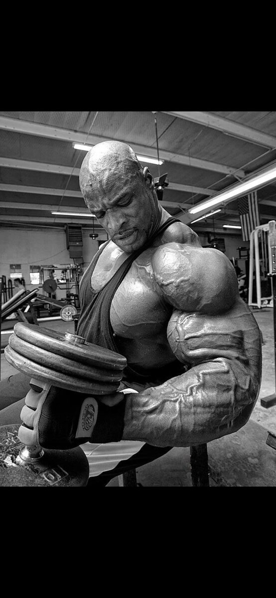  
 
Сложно испортить сгибания рук на бицепс, но многим людям это удается. 
 

Рецепт накачанных рук прост: сгибания, сгибания, сгибания. Так примитивно, что кажется невозможно напортачить. Но многим это удается. 
 
Если бы бодибилдинг и правда был настолько прост, каждый ходил бы с огромными банками (а я бы, пожалуй, остался без работы). На деле же огромное количество посетителей тренажерных залов совершают массу ошибок, и это помогает мне зарабатывать на хлеб. Я бы хотел послать благодарственную открытку каждому из них! 
 
А если серьезно, сгибания на бицепс не так уж и просты. Я собрал девять типичных ошибок, о которых следует помнить каждому. Поработайте над ними, и вы никогда не собьетесь с курса к гигантским бицепсам, разрывающим рукава. 
 
1. Не начинайте тренировку с неподходящего упражнения 
 
Можно ли сказать, что одни упражнения больше подходят для начала тренировки? Однозначно! Как правило, я рекомендую начинать занятие с многосуставного движения. Однако к бицепсам это вряд ли применимо, потому что даже подтягивания обратным хватом работают в тандеме с мышцами спины. Выбор упражнений, по большому счету, ограничен односуставными движениями. 
 
Среди односуставных упражнений можно найти такие, в которых вы можете поднять значительно больший рабочий вес. Это относится к двусторонним движениям в положении стоя, в которых участвуют обе головки бицепса. Изолирующие упражнения, часто выполняемые сидя, находятся на противоположном конце диапазона. 
 
В качестве примера сравним рабочий вес в подъеме штанги на бицепс стоя и в концентрированных сгибаниях сидя 
 
В качестве примера сравним рабочий вес в подъеме штанги на бицепс стоя и в концентрированных сгибаниях сидя. Первое станет великолепным стартовым упражнением для тренировки бицепса, второе для этих целей не годится. Подъем штанги стоя позволяет вам нагрузить руки максимальным весом, ведь для выполнения этого движения вы можете использовать небольшой импульс от всего тела. Вот только злоупотреблять с импульсом не стоит, а то от правильной техники ничего не останется. 
 
Выбрав подходящее упражнение, подумайте о нагрузке. Если ваша цель — максимальная гипертрофия, после разминки поставьте вес, с которым доберетесь до отказа в 8-12 повторениях. А поскольку это стартовое упражнение, можно даже остановиться на нижней границе этого диапазона. 
 
2. Не выбирайте идентичные упражнения 
 
Хотите купить билет на поезд в город медленного мышечного роста? Выбирайте упражнения, похожие как две капли воды. 
 
Скажем, вы начинаете тренировку с подъема штанги стоя. Затем, не долго думая, переходите к подъему гантелей супинированным хватом. Так, а почему бы не добавить сгибание в тросовом тренажере? И вы делаете сгибание рук на нижнем блоке стоя. Штанга, гантели, трос. Неплохая вышла комбинация, не так ли? Не так. 
 
Вы видите сходство между всеми тремя упражнениями? Оборудование меняется, но во всех случаях ваши руки находятся в одном и том же положении относительно туловища. В конечном счете вы получаете 12 подходов к практически идентичным упражнениям. 
 
Штанга, гантели, трос. Неплохая вышла комбинация, не так ли? Не так 
Использование различных углов воздействия — этот подход вы применяете в тренировке груди, когда работаете на горизонтальной и наклонных скамьях — поможет форсировать общее развитие мускулатуры рук. И это открывает перед вами бескрайние горизонты возможностей. 
 
Когда руки находятся перед плоскостью туловища — во время сгибаний на скамье Скотта — длинная головка бицепса не может полностью растянуться, и фокус смещается на короткую головку. По аналогии, когда руки находятся позади плоскости тела, как во время подъема гантелей на бицепс на наклонной скамье, длинная головка растягивается полностью и может сокращаться с большим усилием, что делает ее главной мишенью упражнения. 
 
Супинированный хват (когда руки повернуты наружу относительно нейтрального положения) и различные положения рук — другие эффективные способы внести разнообразие в тренировку бицепсов. 
 
3. Не останавливайтесь на одном хвате и одной постановке рук 
 
Ширина и тип хвата влияют на активацию мускулатуры. Длинная головка бицепса (которая формирует так называемый пик бицепса) находится снаружи от короткой головки. Используя в подъеме штанги хват уже ширины плеч, вы пришпориваете ее развитие. И наоборот, очень широкая постановка рук, значительно превышающая ширину плеч, ставит в центр мишени короткую головку. Варьирование ширины хвата между подходами или тренировками даст вам разноплановые тренировочные стимулы. 
 
Давайте не будем забывать и о плечевой мышце — мышце верхнего отдела руки, которая лежит под бицепсами. Прокачка ее объема тоже поможет увеличить общий обхват рук. Для проработки плечевой мышцы нужно делать сгибания хватом молоток, в которых ладони смотрят друг на друга в нейтральной позиции. Их можно выполнять с гантелями или на нижнем блоке с канатной рукоятью. 
 
Сгибания хватом молоток нагружают еще и плечелучевую мышцу, которая отвечает за объем верхней части предплечья со стороны большого пальца. Она активно работает при использовании верхнего хвата в упражнении, которое еще называют подъемом на бицепс пронированным хватом. Тренировки с использованием всех трех вариантов хвата обеспечат максимально полноценное развитие мускулатуры рук. 
 
4. Не поднимайте руки слишком высоко 
 
Одной из типичных ошибок лифтеров во время подъемов на бицепс является стремление поднять руки максимально высоко, чтобы пройти полный диапазон движения. Я большой поклонник полноамплитудного тренинга, но в нашем случае движение часто выполняется с помощью передних дельт. 
 
Одной из типичных ошибок лифтеров во время подъемов на бицепс является стремление поднять руки максимально высоко, чтобы пройти полный диапазон движения 
 
Дело в том, что базовые сгибания на бицепс мы делаем с прижатыми к туловищу локтями, и движение происходит только в локтевом суставе. Сгибания на бицепс с правильной техникой позволяет вам поднять снаряд примерно на высоту плеч. 
 
В попытке поднять снаряд еще выше многие спортсмены толкают локти вперед. Стоит им это сделать, и передние дельты тут же включаются в работу. Это не только вводит в уравнение еще одну мышечную группу, но и создает в верхней точке движения зону отдыха для бицепса, так как теперь руки опираются на выдвинутые локти. Напряжение бицепса уменьшается в значительной степени. 
 
Для лучшей изоляции не нарушайте односуставный характер упражнений на бицепсы. Помните о тенденции выдвигать локти вперед во время подъема снаряда. Время от времени можно использовать ту или иную форму читинга, чтобы продлить изматывающий подход, но не делайте все повторения в таком стиле. 
 
5. Не уменьшайте амплитуду из-за слишком тяжелого веса 
 
Чтобы продолжать прогрессировать, нужно планомерно наращивать вес, но очень многие люди бегут впереди паровоза и компенсируют это укорочением диапазона движения. 
 
Если ваша главная цель — постоянно поднимать нагрузку, очень может быть, что вы из их числа. В погоне за утяжелением снаряда вы можете запросто пожертвовать траекторией движения, и это значит, что в итоге вы будете делать только частичные повторения, не полностью растягивая бицепсы в нижней фазе, или не доводя движение до точки пикового сокращения. В отличие от такого подхода, работа во всем диапазоне движения дает более полноценное развитие мускулатуры. 
 
Самая частая ошибка в сгибаниях на бицепс — слишком тяжелый снаряд. Эксцентрическая фаза часто останавливается задолго до полного выпрямления руки, когда локти остаются согнутыми под углом 90 градусов или чуть менее того. Если ваши бицепсы сокращены в нижней точке — проверьте это, стоя боком к зеркалу — вы не полностью распрямляете руки. 
 
Если именно так вы выполняете большую часть подъемов на бицепс, просто возьмите меньший рабочий вес и помните, что в каждом повторении руки должны переходить из почти полного распрямления к полному сгибанию. Укорочение диапазона движения в любом упражнении, не только в сгибаниях на бицепс, ограничивает мышечный рост. 
 
6. Не тренируйте бицепс перед мышцами спины 
 
В некоторых сплитах мышцы, выполняющие тяговые движения (бицепс, спина), прорабатываются в один день. Скорее всего, вы планируете тренировку таким образом, чтобы большие мышечные группы работали перед меньшими (спина перед бицепсами). Бицепсы сравнительно малы, но они очень важны в подтягиваниях и тяговых движениях, так что вам может прийти в голову мысль утомить их перед тяжелыми упражнениями для спины. 
 
Но если вы сделаете упражнения для двуглавой мышцы непосредственно перед тренировкой спины — чем грешат очень многие парни — сгибатели руки будут сильно истощены еще до того, как вы начнете первое подтягивание. А в тяжелейших подходах к тяге штанги, какая группа мышц по-вашему откажет первой? 
 
Лучше не нагружать бицепсы в течение 48 часов до и после тренировки спины, то есть накануне или на следующий день 
 
Лучше не нагружать бицепсы в течение 48 часов до и после тренировки спины, то есть накануне или на следующий день. Помните, мышцы растут во время отдыха, и тренировочный сплит надо планировать так, чтобы спина и бицепс никогда не работали в течение двух дней кряду. 
 
7. Не начинайте тренировку рук с предплечий 
 
Никогда не тренируйте предплечья до бицепсов, потому что скромные мышцы предплечья участвуют во многих сгибаниях. Как только эти мышцы устанут, вам будет проблематично удержать в руках чашку кофе, не говоря о тяжеленном снаряде. Приберегите обратные сгибания, а заодно и сгибания запястий ладонями вверх или вниз, на финал тренировки. 
 
Вообще, не нагружайте предплечья перед тренировкой любой большой мышечной группы, для которой нужен сильный хват, включая спину. Предплечья нужно прорабатывать только в конце тренировочной сессии. 
 
8. Не компенсируйте недостаток интенсивности увеличением длительности тренировки 
 
Кто не видел парня, который часами выполняет упражнения для бицепса, потому что полон решимости накачать мощные банки. 
 
К сожалению, ни один эксперимент не доказал, что увеличение тренировочного объема в геометрической прогрессии ведет к столь же эффективному набору массы. Проще говоря, больше работы не равносильно большим результатам. 
 
Лучше сокращайте длительность специфической тренировки бицепсов до 30 минут — и даже меньше того, если вы новичок. Но дело не в волшебном сокращении времени, скорее, в правильном выборе упражнений, достаточном объеме нагрузки, рабочем весе и диапазоне повторений, тренинге до отказа, приемах тренировки после мышечного отказа и интервалах отдыха. 
 
Если вы тренируете руки дольше 30 минут (около 12-15 подходов), скорее всего, вашей тренировке чего-то не хватает. Фокусируйтесь на повышении интенсивности каждого подхода и не пытайтесь компенсировать это увеличением объема нагрузки. Эти две переменные не равны. 
 
9. Не выполняйте только сгибания с читингом 
 
Я мог бы написать «используйте правильную технику подъема на бицепс» тысячу раз, и вы все равно навесили бы на штангу слишком много блинов. Так что давайте говорить о сгибаниях с читингом и о том, как успешно интегрировать их в вашу тренировку. 
 
Небольшой импульс от тела может помочь вам преодолеть мертвую точку подъема, которая подстерегает большинство из нас где-то в середине диапазона движения. Если вы стоите, можно немного подтолкнуть снаряд за счет незаметного движения бедер, которое от повторения к повторению будет все более очевидным, потому что накапливается усталость. Но помните, подключая другие мышечные группы, вы уменьшаете нагрузку на бицепсы, так что этот фактор нужно сводить к минимуму. 
 
Если вы берете рабочий вес, с которым не можете технично выполнить даже первое повторение, вы сразу превращаете односуставное упражнение в многосуставное, и это моментально уменьшает нагрузку на двуглавые мышцы. В такой ситуации использовать большой вес нет смысла, потому что бицепсы не в состоянии справиться с нагрузкой даже в одном повторении, а это значит, что разницу компенсируют поясница и ноги. Увеличение рабочего веса просто равносильно большей активации других мышечных групп. 
 
Впрочем, если вы можете самостоятельно завершить 6-7 повторений, а затем сделать пару читинговых повторов для продления подхода, минимизируя раскачивание туловища, вы увидите, что можно безопасно преодолеть точку, в которой сет мог закончиться. 
 
Я использую выражение «безопасно» с большой натяжкой, поскольку риск травмы спины, причем серьезной травмы, растет вместе с выраженностью читинга. Выполнять подъемы с читингом следует только опытным спортсменам, и то лишь несколько повторений с контролируемой степенью читинга.