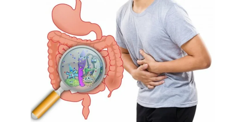 Дисбактериоз кишечника