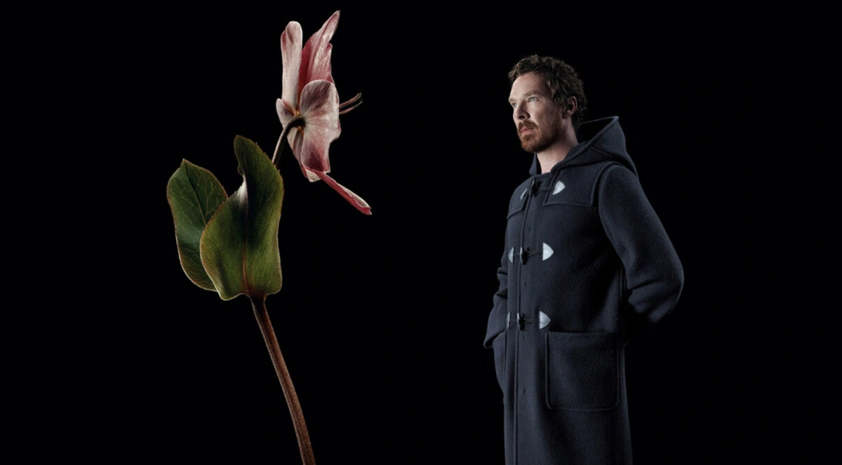    Prada раздаст всем желющим банки с семенами для цветов (фото 2)