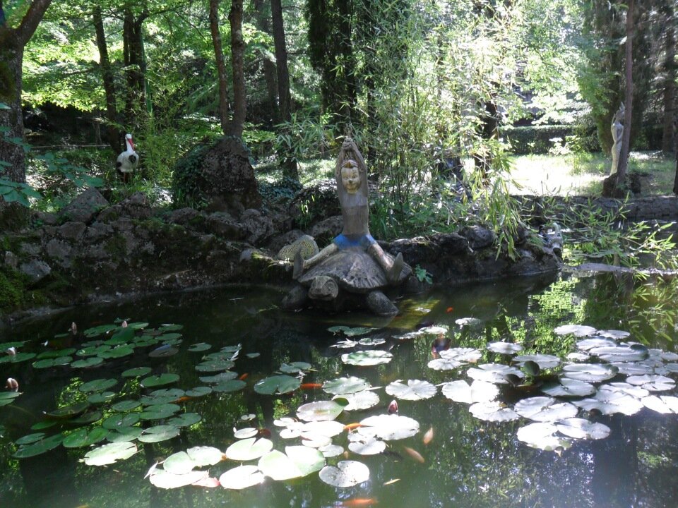 фото автора  Сказочный водоем с золотыми рыбками