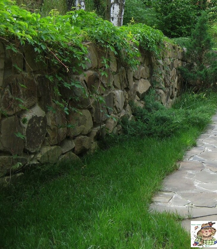 Декоративность или необходимость?