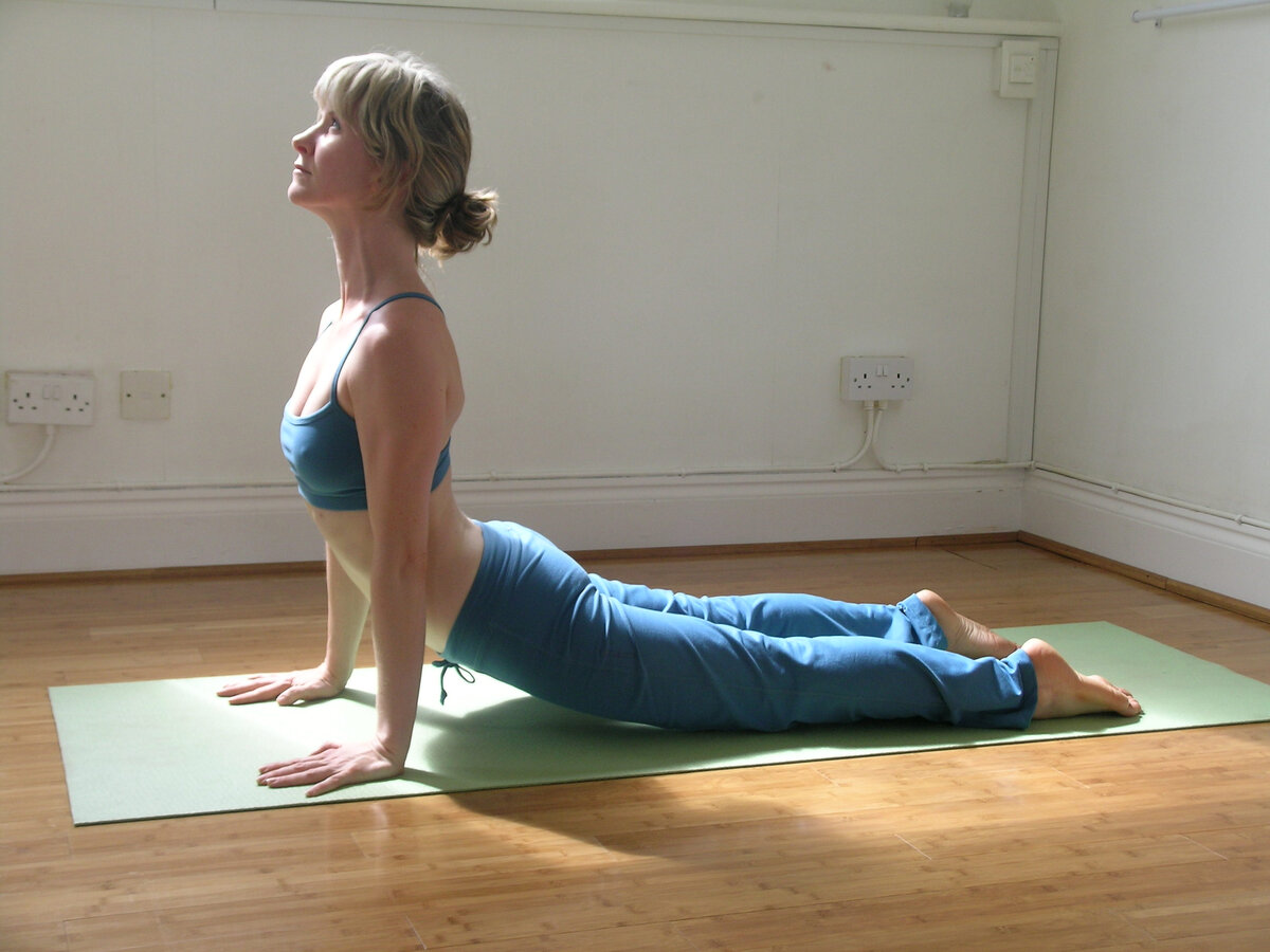 Источник: Яндекс Картинки.