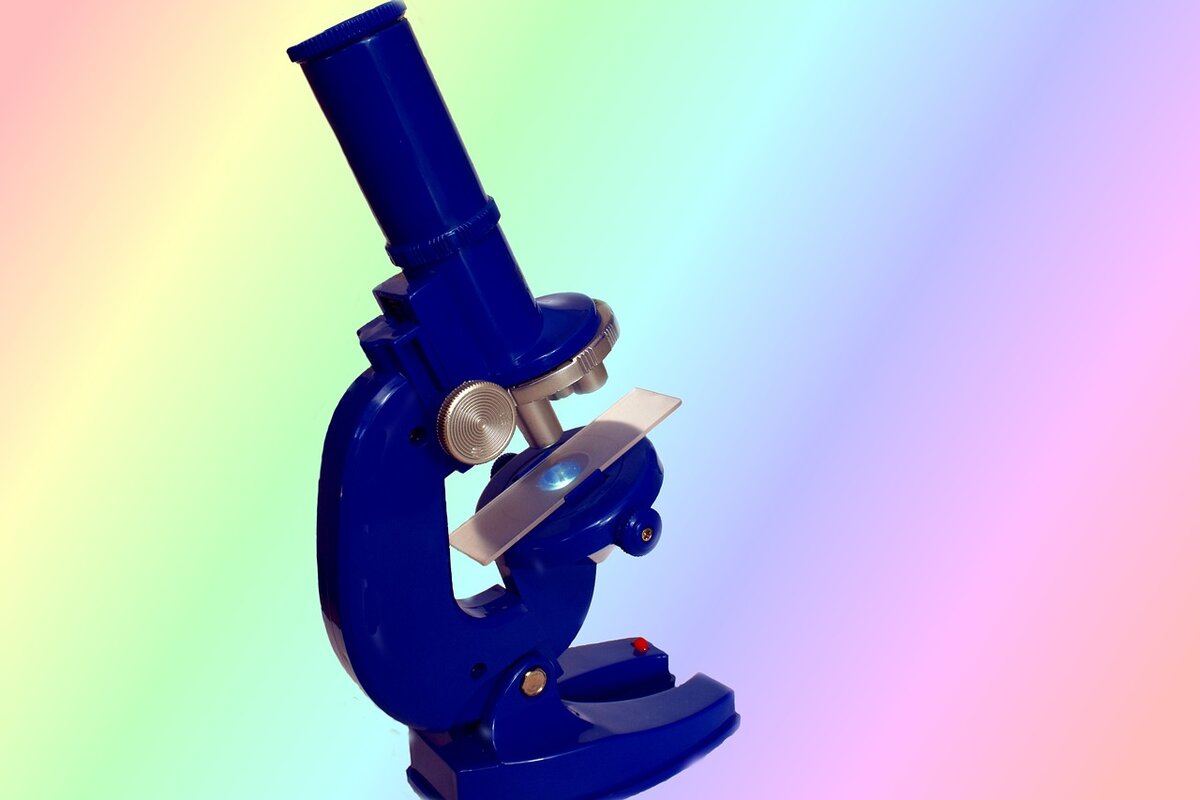 На биоквантуме пекут булки и смотрят на дрожжи в микроскоп