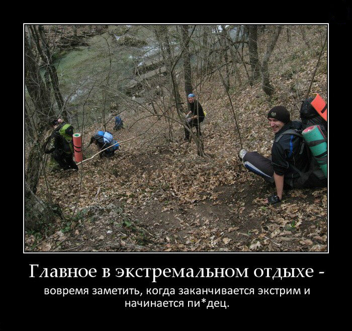 яндекс картинки