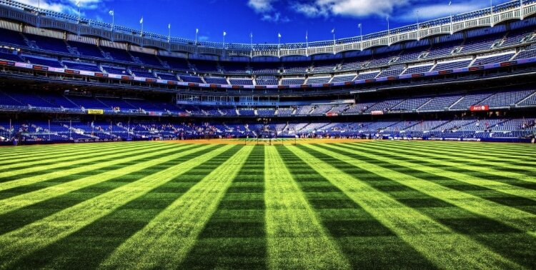 «Полосатый» газон на футбольном поле