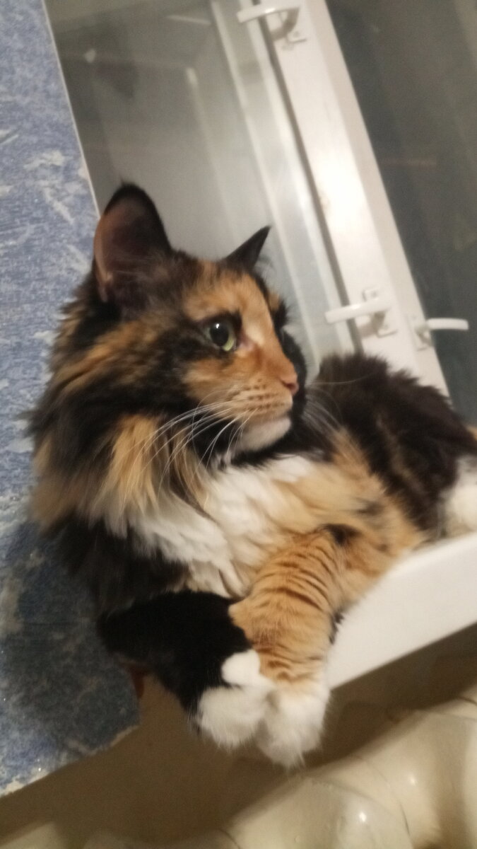 Второе. Позирование продолжается