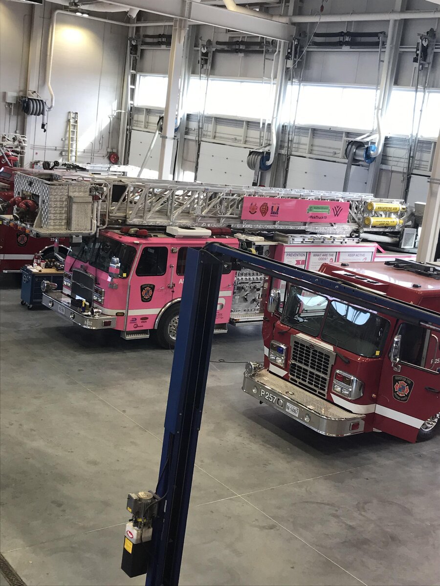 jackson73537 / Via old.reddit.com