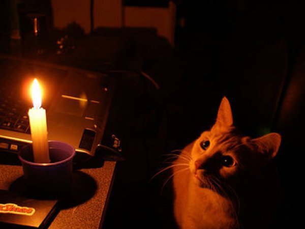  Без электричества останутся десятки домов.

В Ростове-на-Дону снова будут отключать свет, сообщает Донэнерго.
