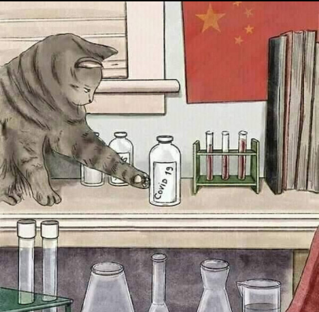 Разведка США узнала правду про происхождение коронавируса