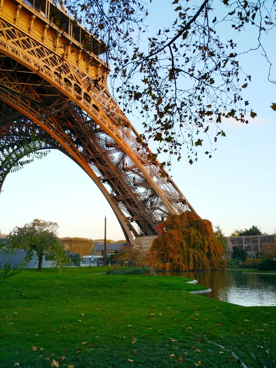 Фото автора. Друзья, подписывайтесь на мой канал и не стесняйтесь ставить лайки.  