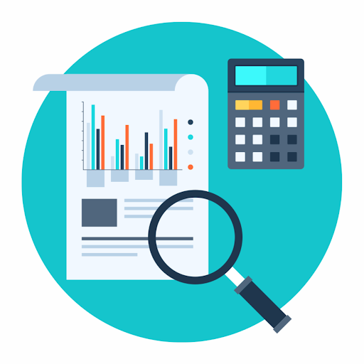 Аудиторское заключение в Федресурсе