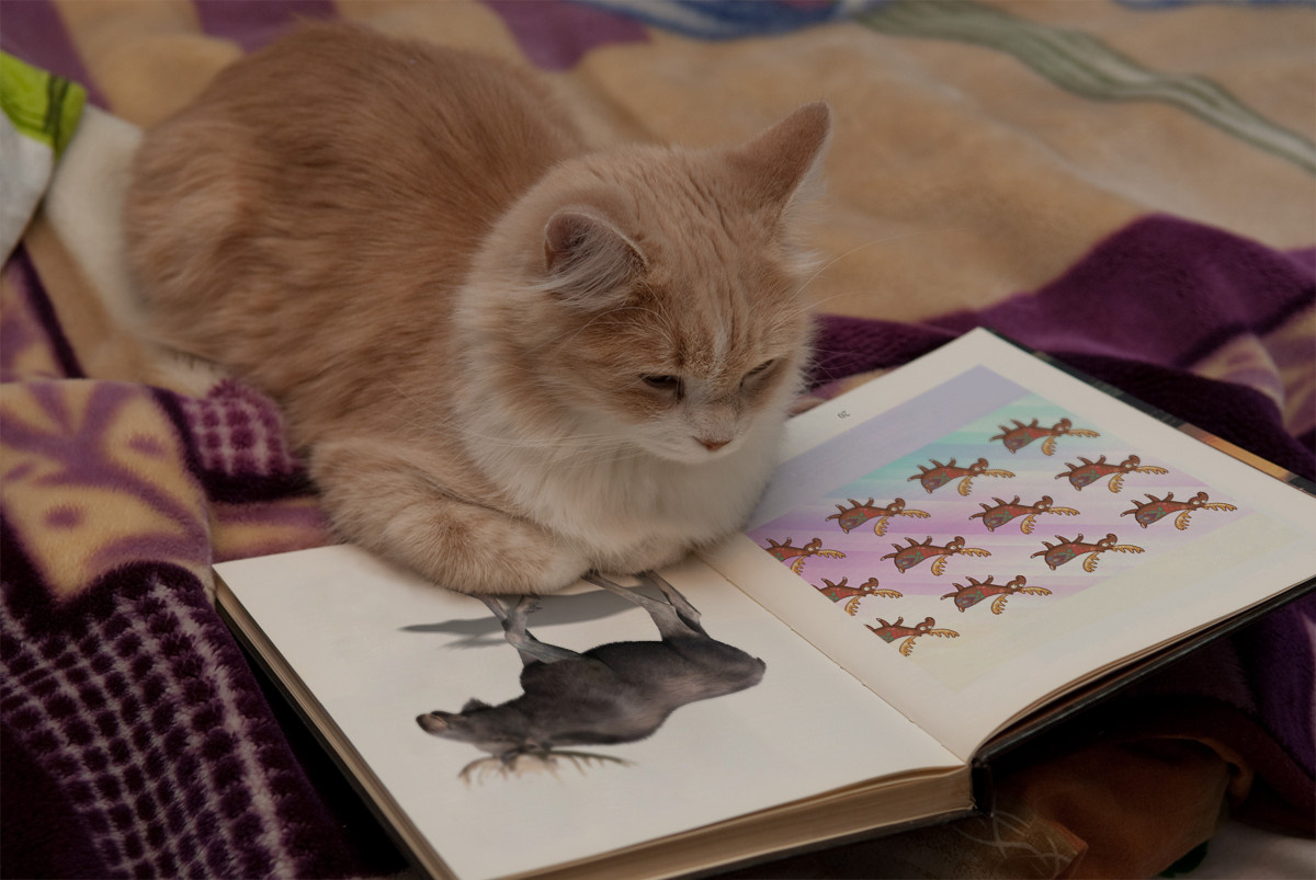 спасибо онлайн фоторедактору https://photofunia.com/ru