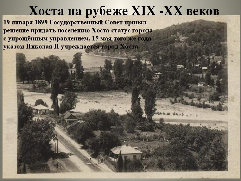 вот такой была Хоста