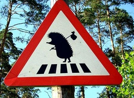 🚘❗️Запоминалки для новичков!

И не только😉😊❗️

Сохраняйте! Поделитесь с друзьями!

📌Помеха справа. Если на перекрёстке нет знаков приоритета, нужно пропустить все машины, которые приближаются справа.

📌Прав тот, кто ниже. Автомобиль, спускающийся с горки, должен уступить дорогу машине, которая на неё поднимается.

📌Виноват тот, кто сзади. Водителям, движущимся друг за другом, необходимо всегда держать дистанцию.

А у Вас есть техники запоминания? 
Поделитесь в комментариях⬇️

