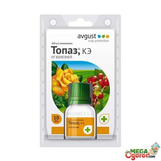 фото из свободных источников