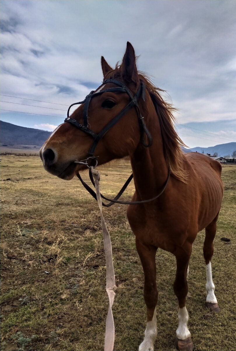 Миг на прогулке