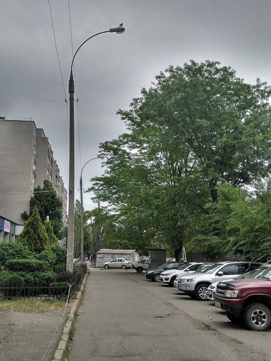 Краснодар