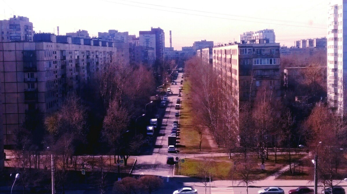 Невский район Санкт-Петербурга глазами приезжей | Новая петербурженка | Дзен