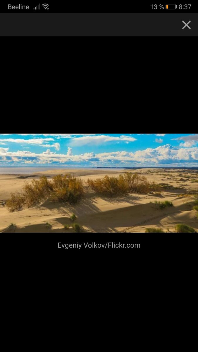 Куршская коса — это длинная узкая полоса суши с уникальным ландшафтом, флорой и фауной. Там произрастает около 600 видов растений и насчитывается 296 видов животных, а ещё проходит миграционный путь 150 видов птиц. За потрясающую природу Куршская коса включена в список Всемирного наследия ЮНЕСКО. Насладиться её красотами можно, пройдя по любому из шести пешеходных маршрутов одноимённого национального парка.