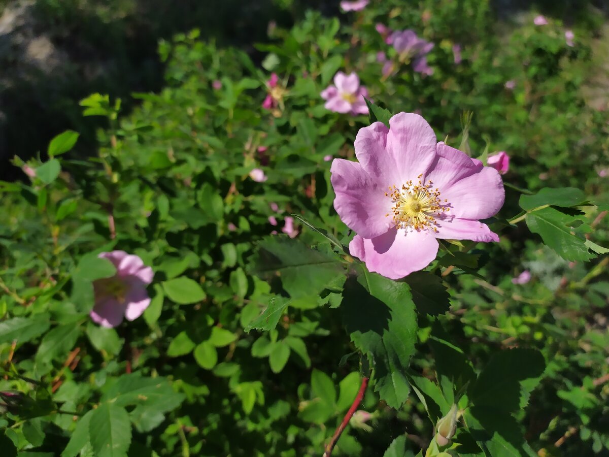 Прекрасное рядом