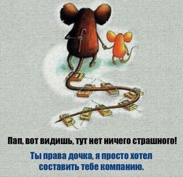 картинка из свободного доступа. 