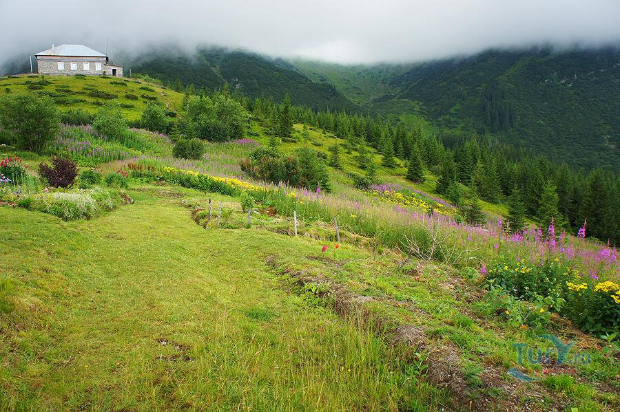 Карпаты крест