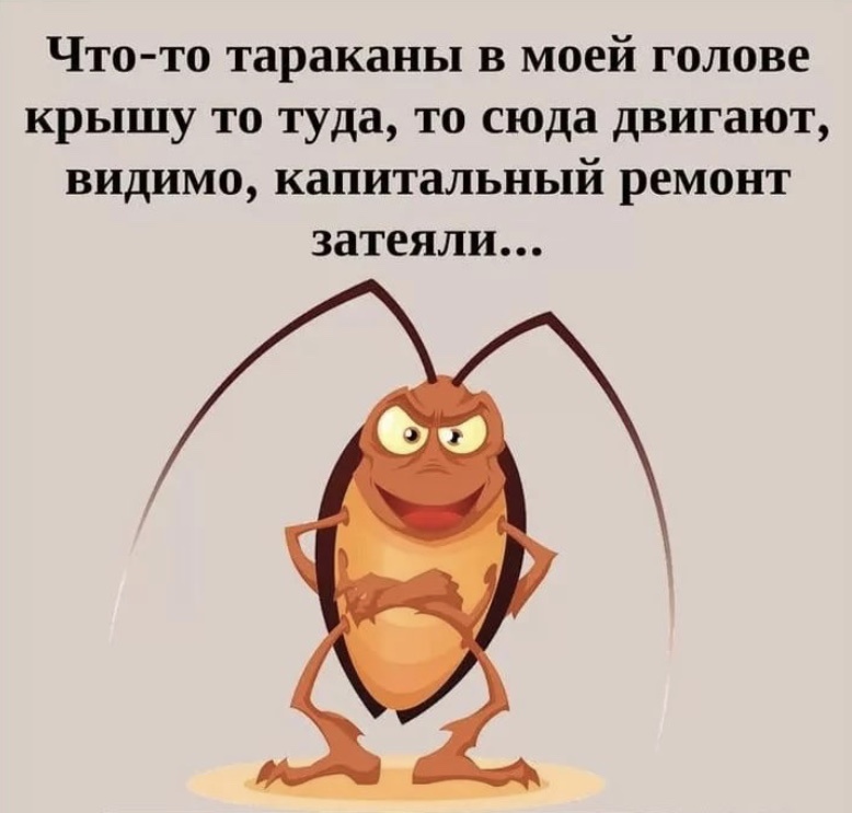 Мусор в ТВОЕЙ голове