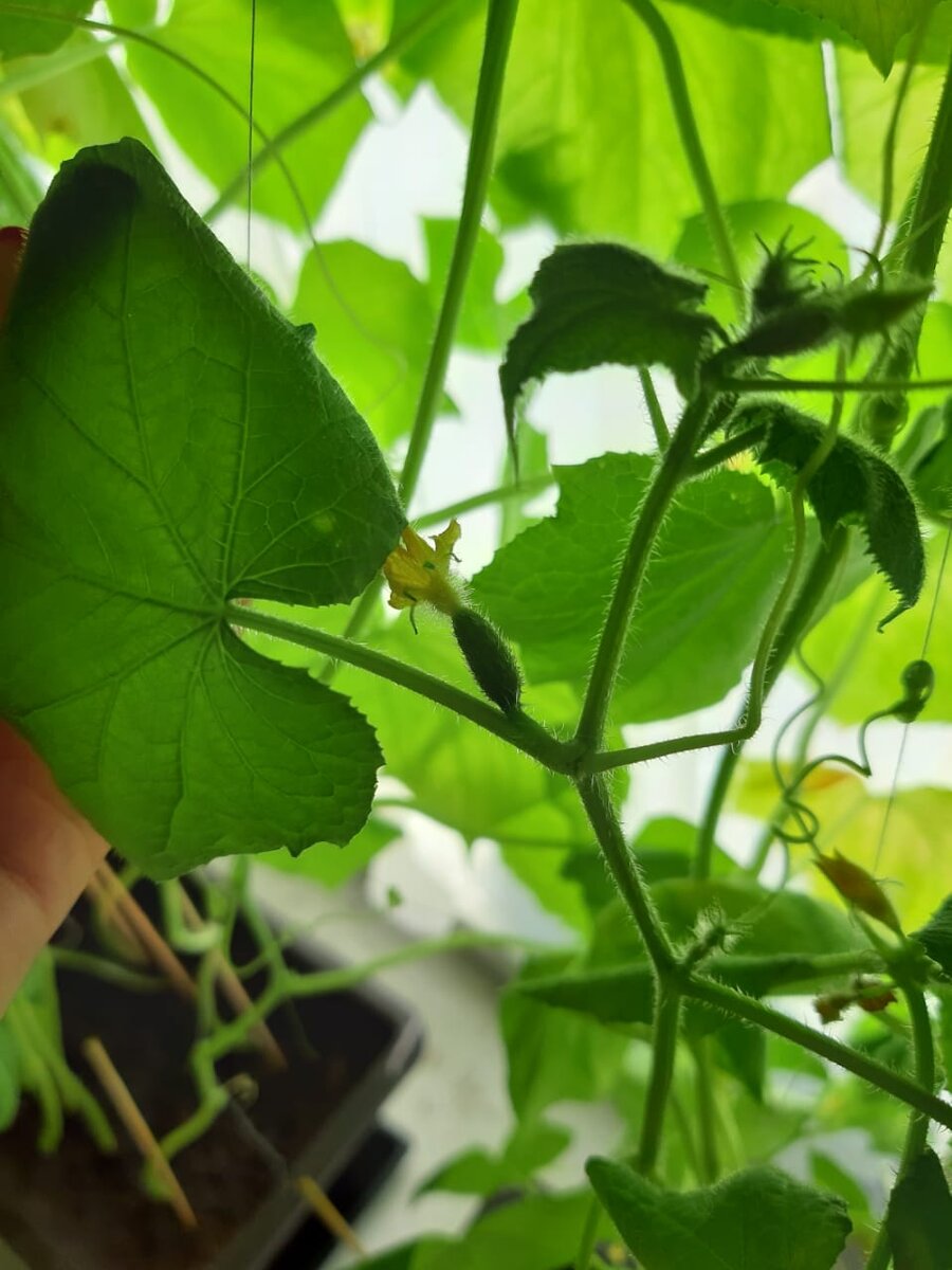 Ставьте "лайки" и подписывайтесь на мой канал!