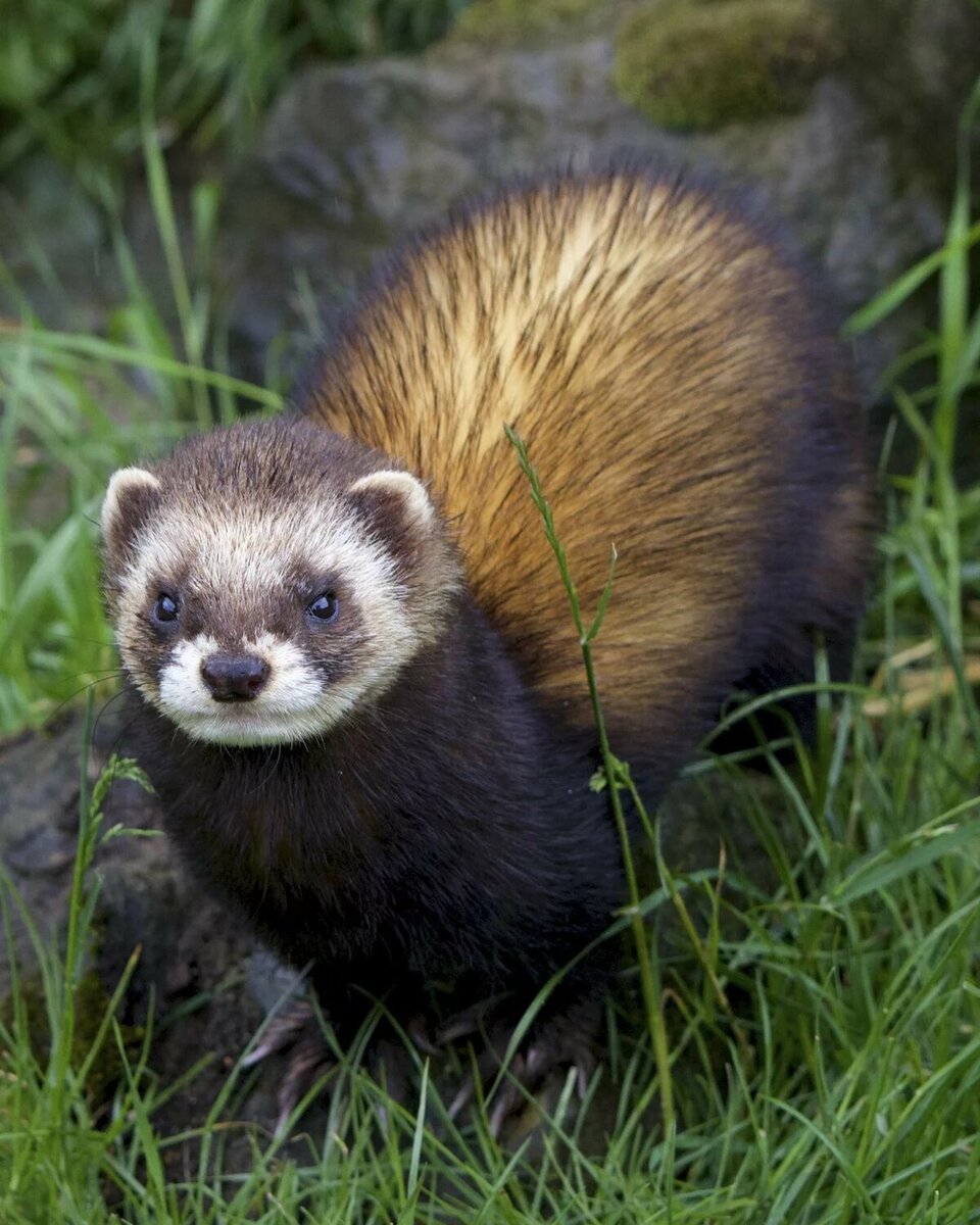 Фото с интернет источника