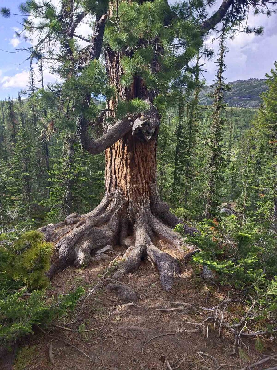 Просто кусочек места, где я живу) 