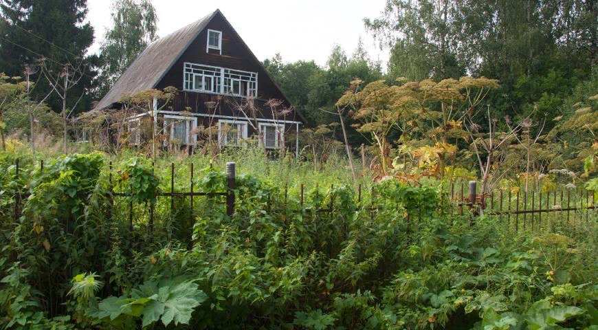 из открытых источников