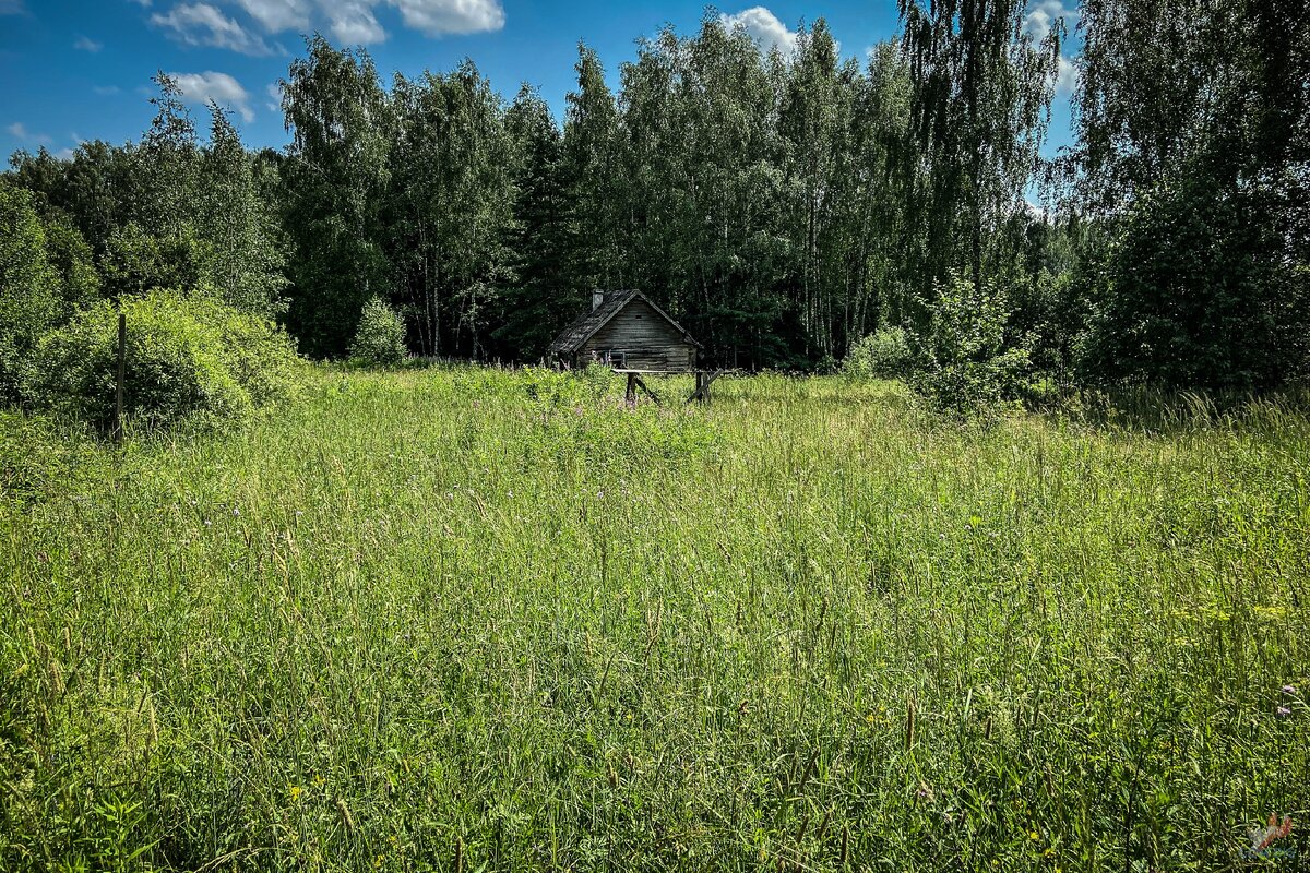 В лесу нашел одинокий заброшенный дом из сруба. Осмотрел и принял решение его восстановить