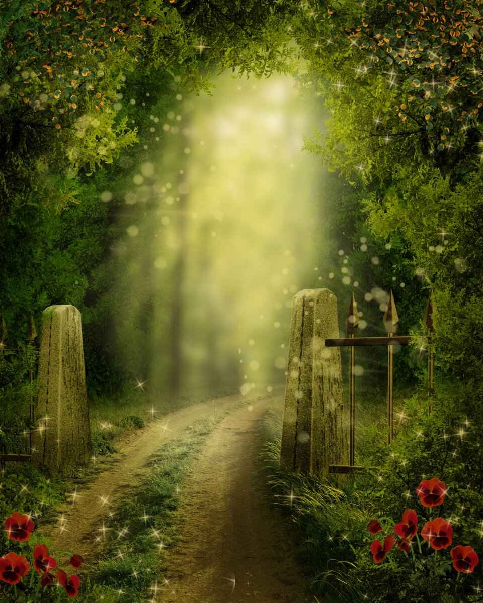 Картинка из Яндекса.