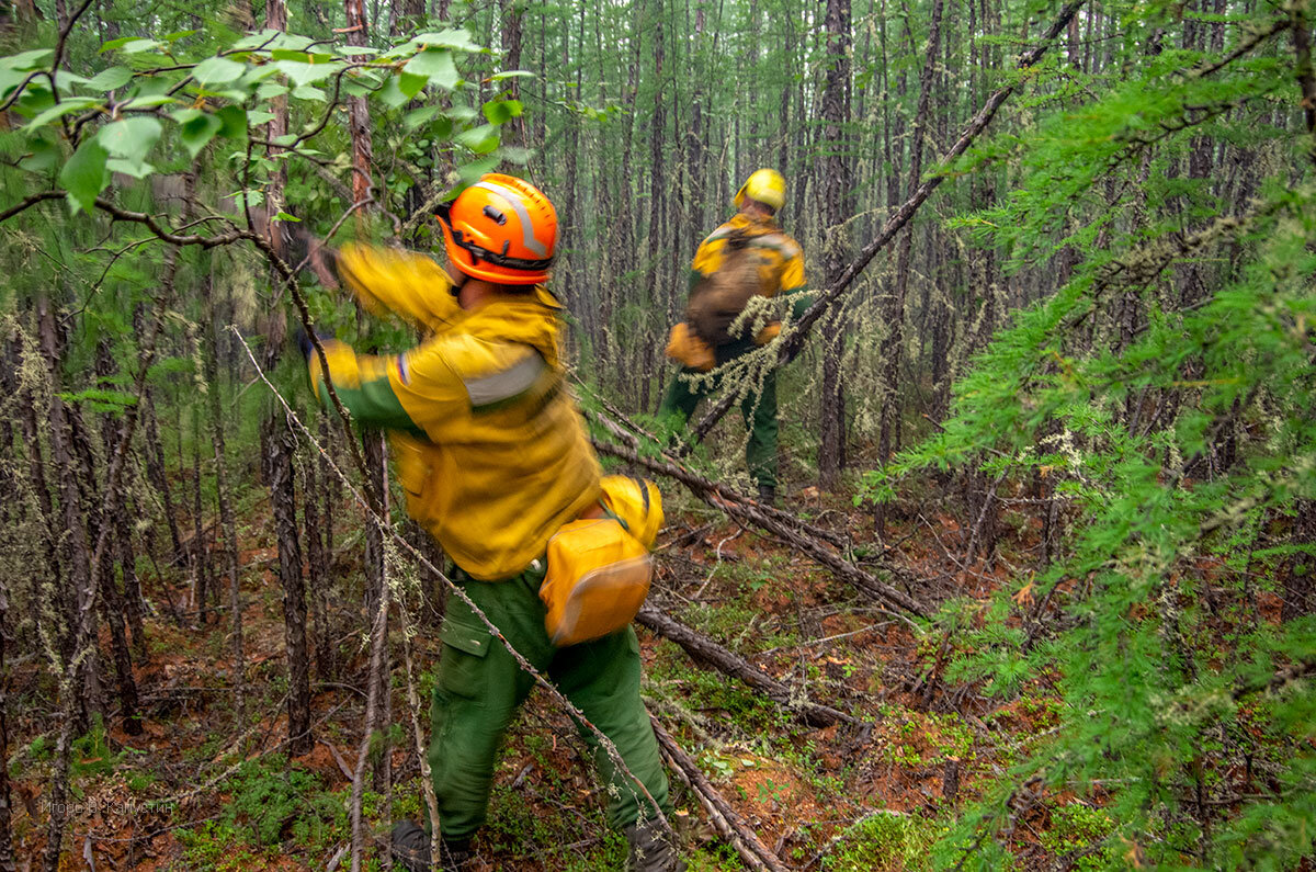 Едем на площадку "подскока" за город. Садится МИ-8 МТВ, быстренько грузимся и в полет. И мы таки вылетаем в 14 часов.  Вокруг дымка, которая чуть позже смешивается с дымом пожаров.
Внизу то здоровая зелень, то немеряных размеров проплешины сгоревшего леса. Выглядит сюреалистично.
Вертолет делает пару виражей облёта пожара и мы наконец-то садимся. Пулей выбрасываем на траву рюкзаки со снаряжением. Рюкзак с фототехникой за спину и выбираюсь на траву.
Поток воздуха пригибает к земле, треплет за одежду и всячески пытается свалить мою тушку.
Напоследок летнаб кивает нам "пока!", закрывает люк и вертолет, заметно полегчавший, легко взмывает вверх. Через несколько минут становится тихо.
Так тихо, что кажется звенит в ушах. Но нет, это уже слышно, как вокруг нас роятся комары. В какой-то момент их становится слишком много, укусы все чувствительней и приходится укрываться от комаров, подняв накомарник энцефалитки.