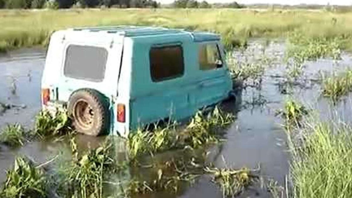 Луаз в болоте