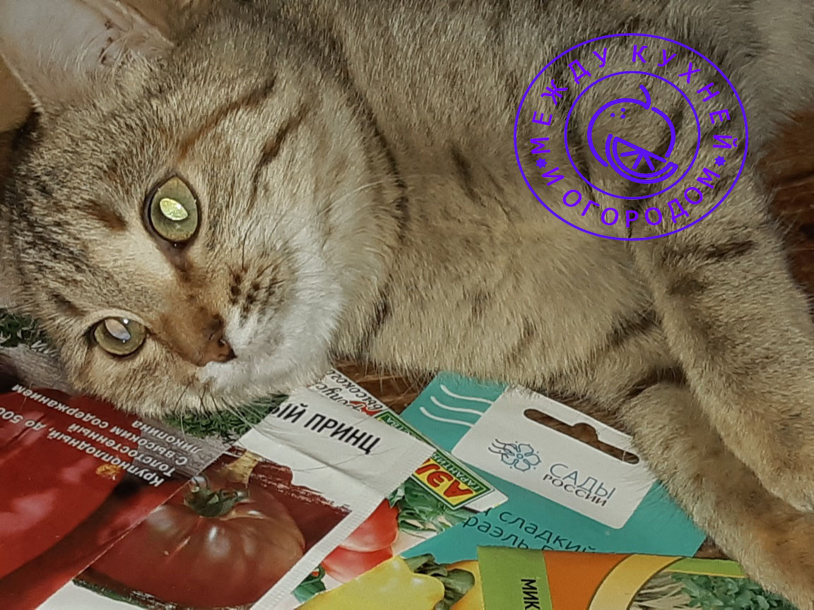 Да не бойся, хозяйка, ты за свои семена, присмотрю, и за крупой тоже присмотрю...