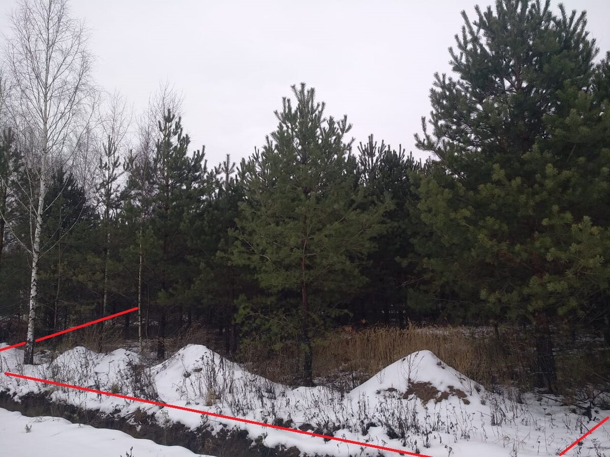 Границы участка