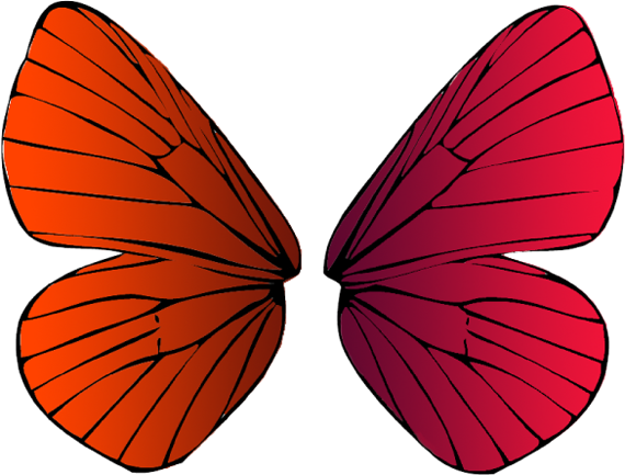 Фото с сайта lookcolor.ru.  Левая половина бабочки - теплые оттенки красного. Правая - холодные.