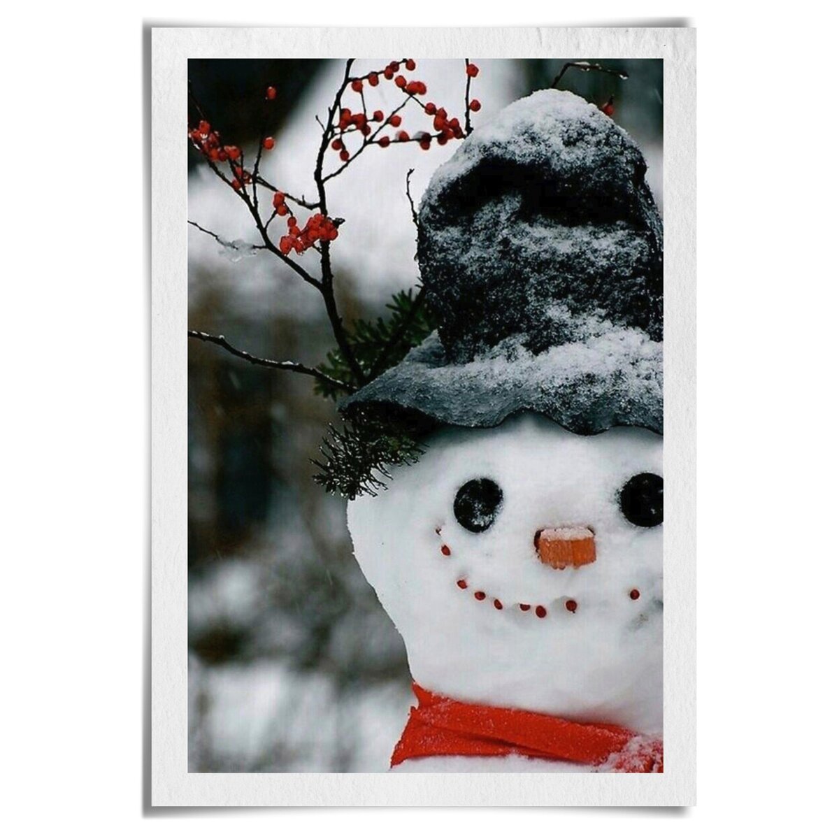 Фотография из свободного источника